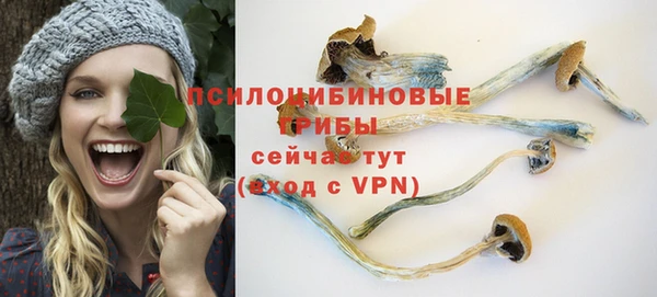 бошки Абдулино