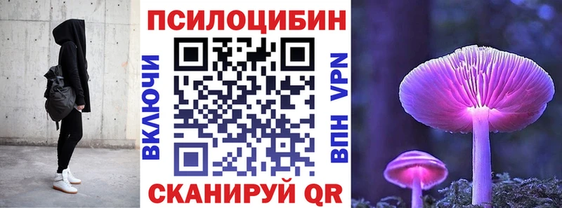 что такое Чекалин Галлюциногенные грибы прущие грибы